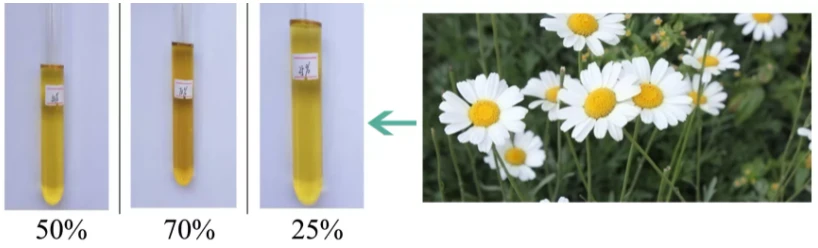 Customized Pyrethrum Extract Manufacturers Suppliers Factory