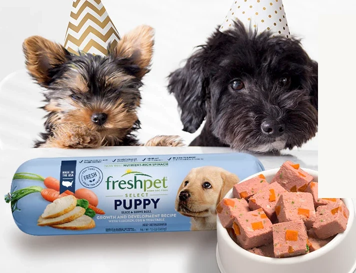 Soya Lecithin Powder Pet Food Soya Lecithin Powder Pet Food