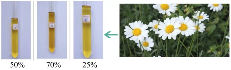 Bulk Pyrethrin Extract Bulk Pyrethrin Extract