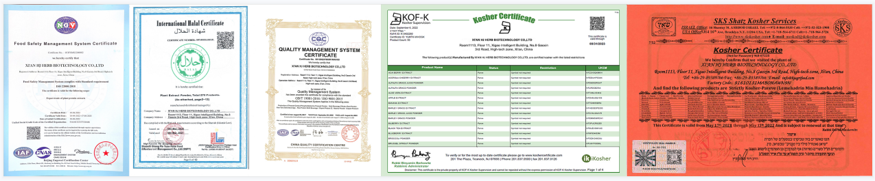 Yucca Ekstrakt Pulver Manufacturer Yucca Ekstrakt Pulver Manufacturer