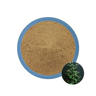 Extracto de andrographis paniculata