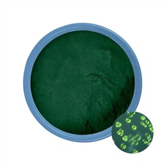 Polvo de Chlorella a granel