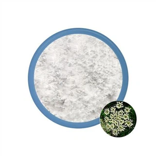 Extracto de fruta de cnidium 10 por ciento