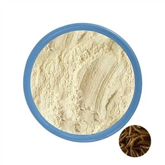 Proteína de insectos