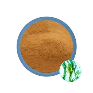 Polvo de extracto de algas marinas