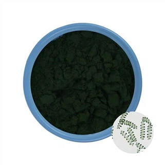 Polvo verde de espirulina
