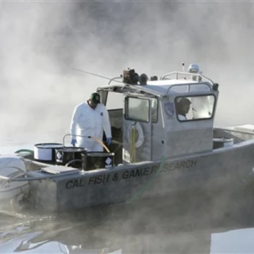 Veneno para peces con rotenona