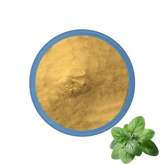 Polvo de hoja de orégano